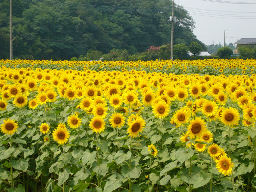 659362 (a): :1600x1200